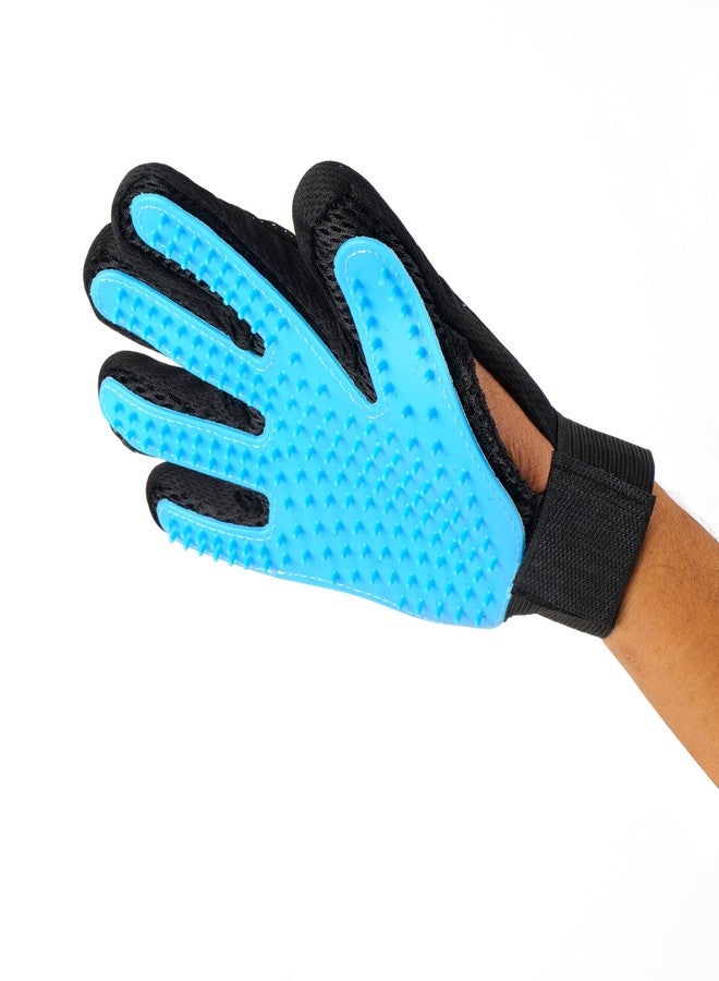 REGIIS Regis Pet Grooming Kit with Deshedding Shampoo and Tick Control Shampoo, 200ml Each, Blue Grooming Glove and Brush(Pack of 5) - Image 3